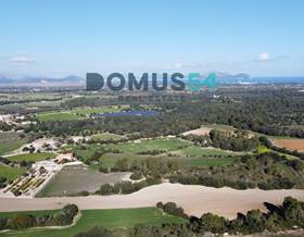 lands for sale in santa margalida