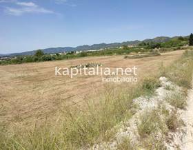 land sale l´ olleria vall d albaida by 8,000 eur