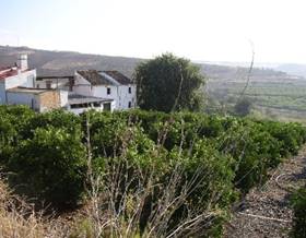 lands for sale in casarabonela