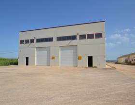 industrial warehouse sale deltebre jesús i maria by 320,000 eur