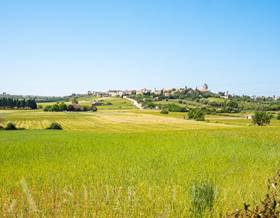 lands for sale in campanet