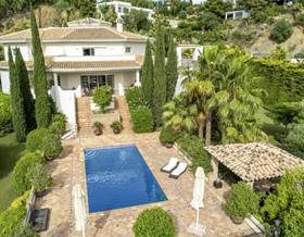 houses for sale in san pedro de alcantara