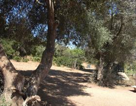 rustic property sale vejer de la frontera la muela by 350,000 eur