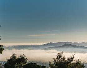 lands for sale in santa eulalia del rio