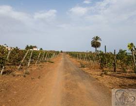 lands for sale in tenerife sta. cruz de tenerife