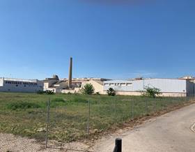 lands for sale in albalat de la ribera