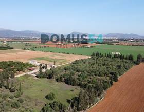 land sale sa pobla by 350,000 eur