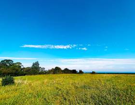 lands for sale in asturias province