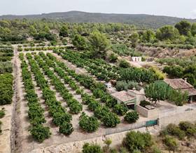 villas for sale in real de gandia