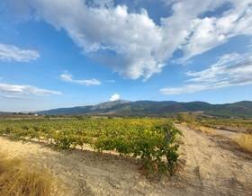 rustic property sale laujar de andarax laujar de andarax by 67,000 eur