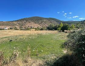 lands for sale in cogollos de la vega