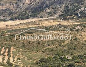 lands for sale in la dehesa