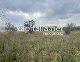 lands for sale in beniganim