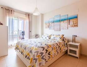apartments for rent in torre del mar