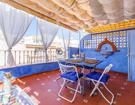 houses for rent in benajarafe