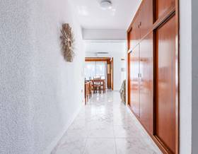 apartments for rent in almayate bajo