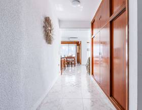 apartments for rent in velez malaga