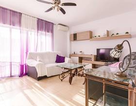 houses for rent in torre del mar