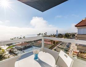 houses for rent in benajarafe