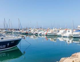 houses for rent in benamocarra