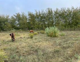 lands for sale in huelva province
