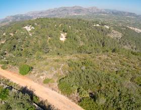 lands for sale in el verger