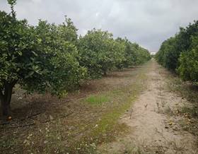 lands for sale in rafelcofer