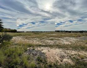 lands for sale in sant carles de la rapita