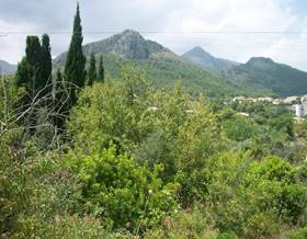 land sale orba by 80,000 eur