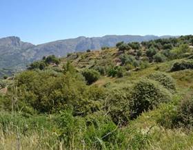 land sale benimantell by 105,000 eur