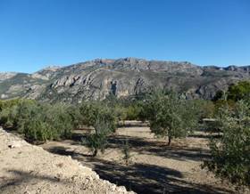 lands for sale in guadalest