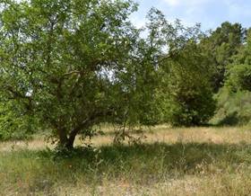 lands for sale in la nucia