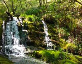 lands for sale in cabuerniga