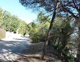 lands for sale in alfauir