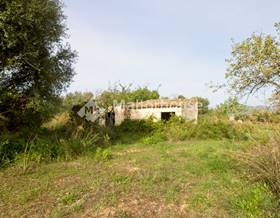 rustic property sale buger campanet-buger by 158,000 eur