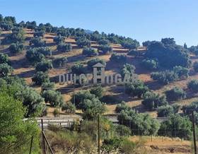 rustic property sale antequera polígono - alrededores - pedanías by 550,000 eur
