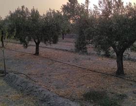 lands for sale in tabernas