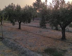 urban land sale tabernas fincas by 135,000 eur