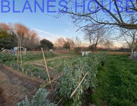 houses for sale in tordera