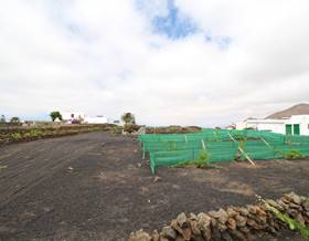 lands for sale in tinajo