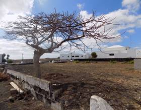 land sale teguise muñique by 160,000 eur