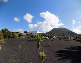 houses for sale in teguise