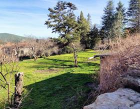 lands for sale in covaleda