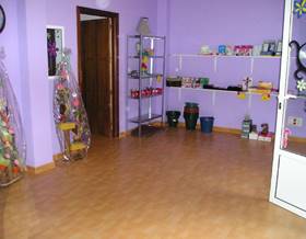 premises for rent in puebla de sancho perez