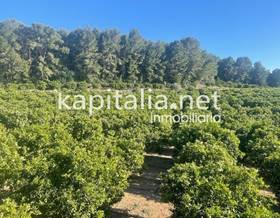 lands for sale in rotgla i corbera