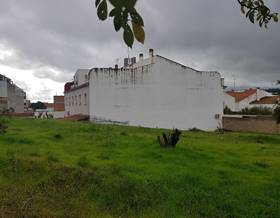 lands for sale in zafra