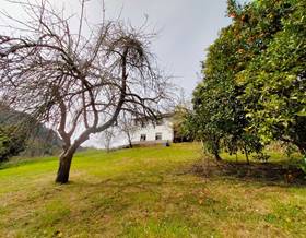 land sale candamo by 90,000 eur