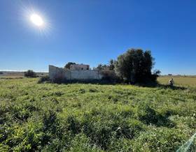 lands for sale in el rebolledo