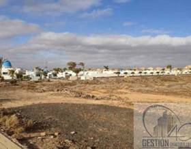 lands for sale in corralejo