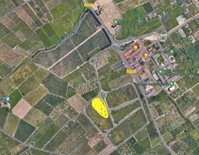 lands for sale in valencia provincia valencia